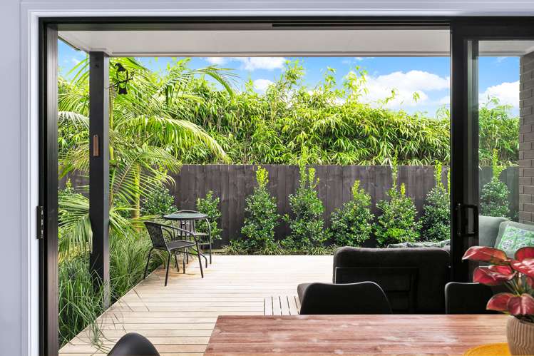 52a Miller Street Point Chevalier_5