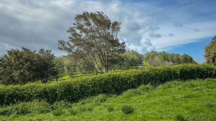 8 Mackay Road Maramarua Forest_19