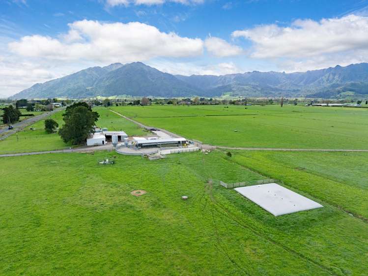McKinley Road Te Aroha_11