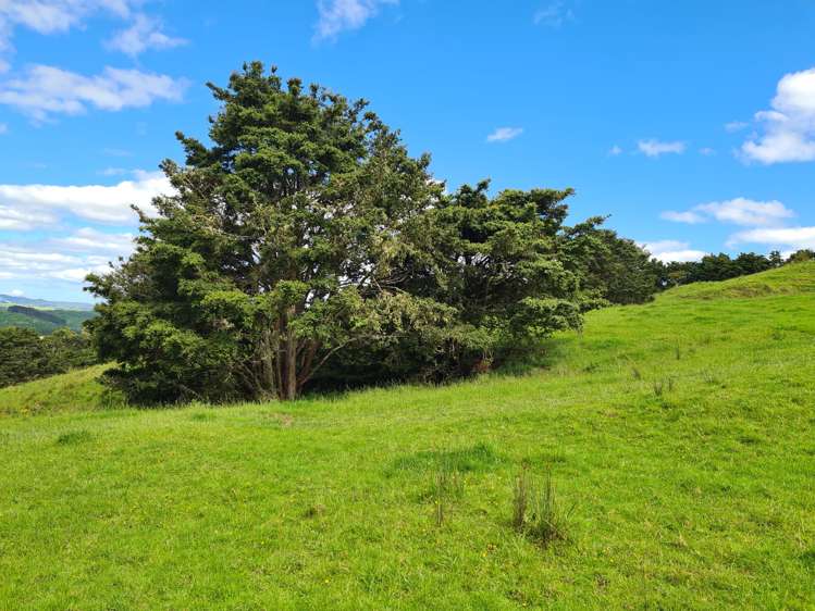 338 Wairere Road Paparoa_8