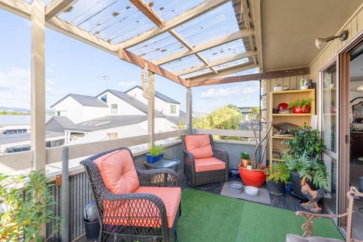 35C Scantlebury Street Tauranga South_13
