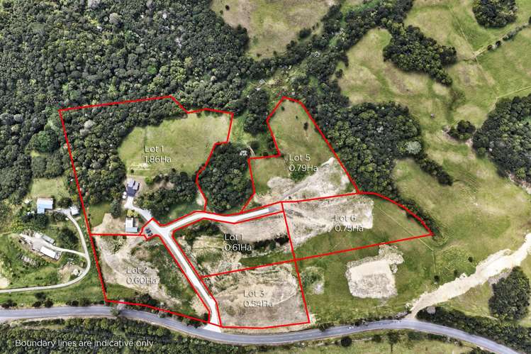 Mangawhai Bush Estate_3