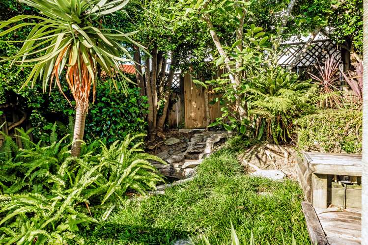 19a Meadowbank Road Meadowbank_8