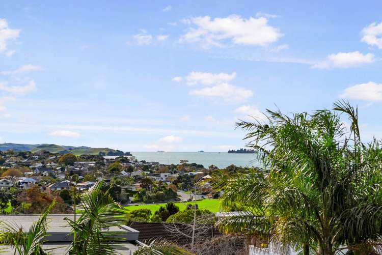 49 Roberta Avenue Glendowie_14