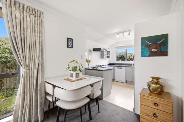 28D Croydon Street Sydenham_4