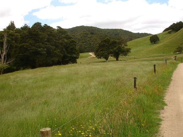 361 Kaiikanui Road Hukerenui and Surrounds_2