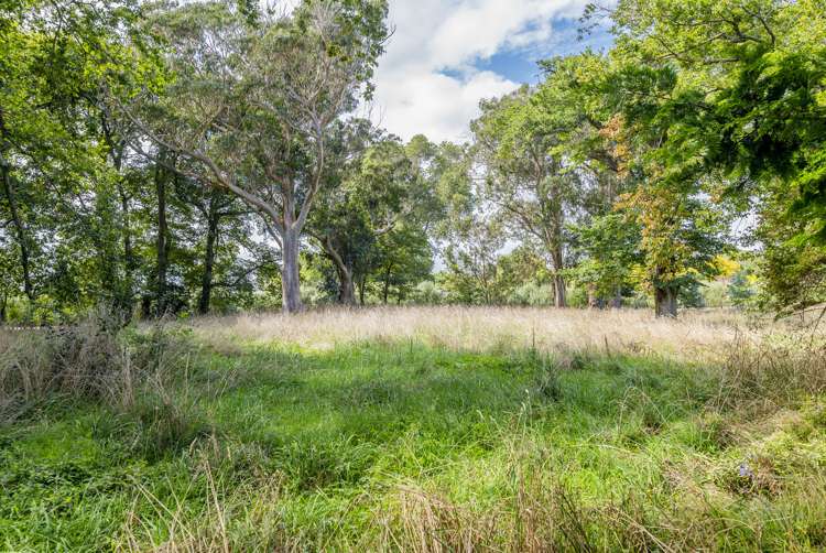 14 Howan Street Foxton_30