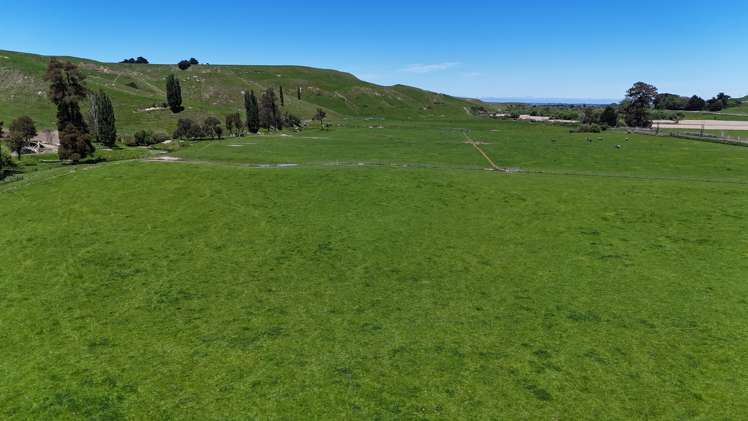 38 Silverhope Road Hunterville_18