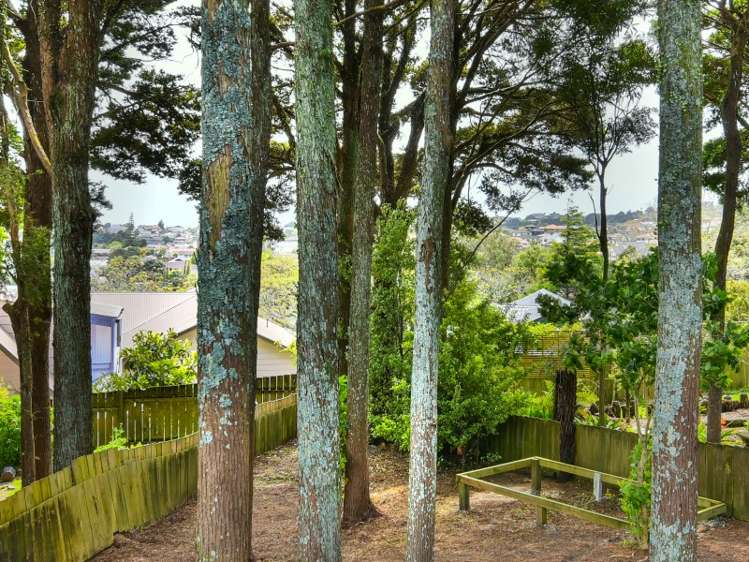 31 Paulownia Place Totara Heights_19