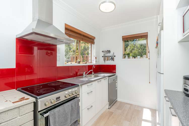 4a Daisy Street Claudelands_10