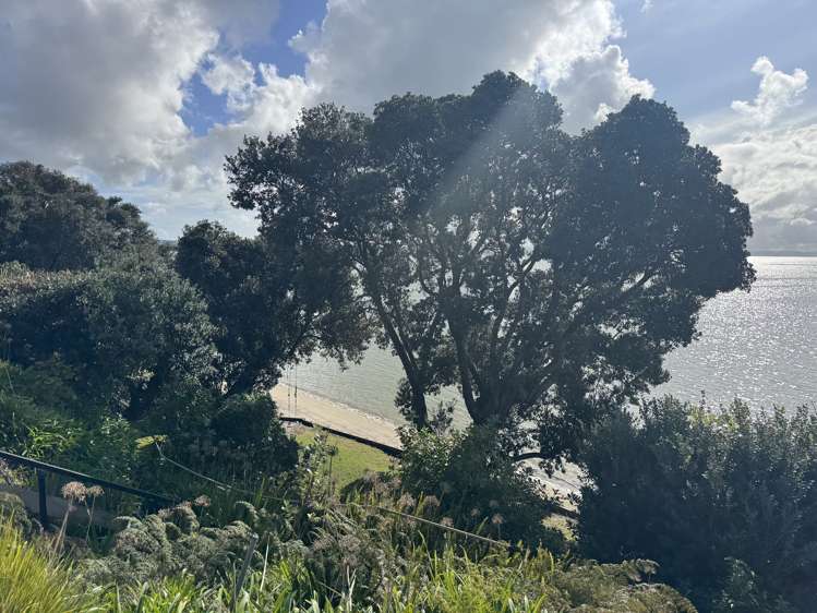 41 Torkar Road Clarks Beach_25