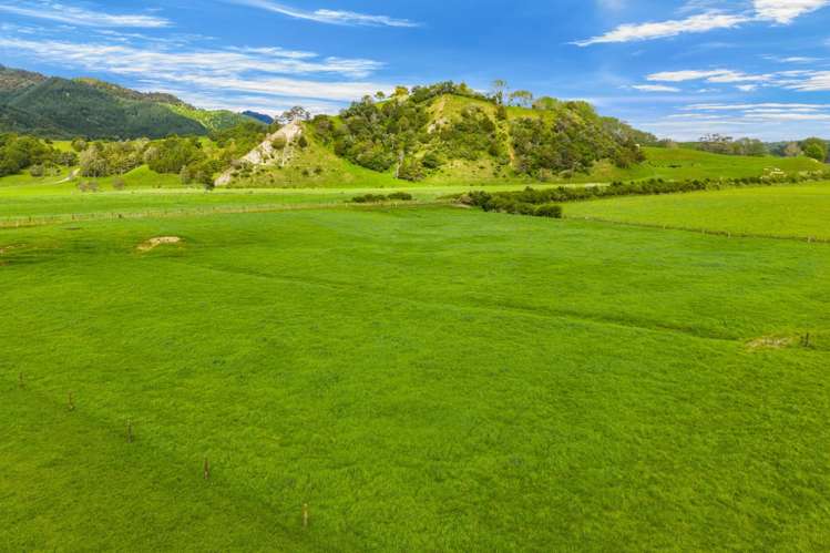 Omana Road Tangiteroria_4