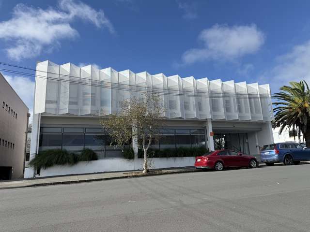 17 Maidstone Street Grey Lynn_4