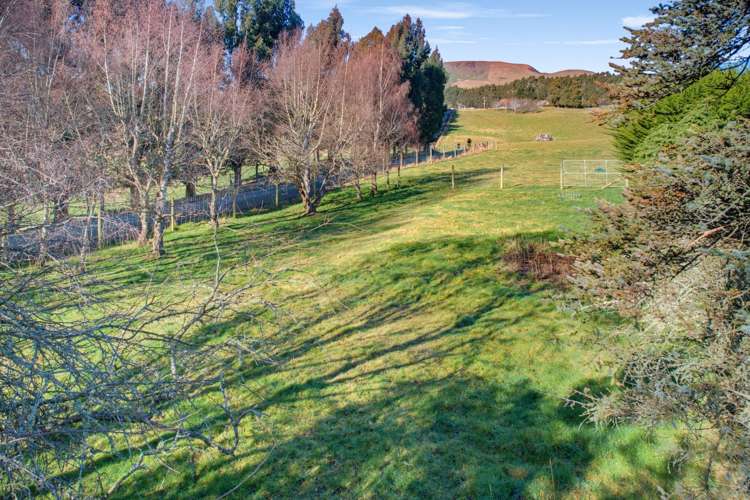 31 District Road Palmerston_19