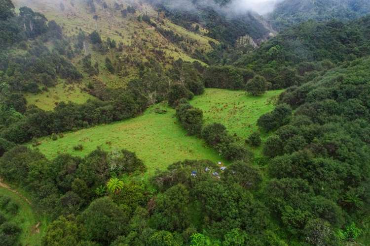 426 Pukeatua Road Ruapehu-King Country Surrounds_15