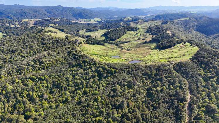 133 Te Ranga Road Kaeo_42