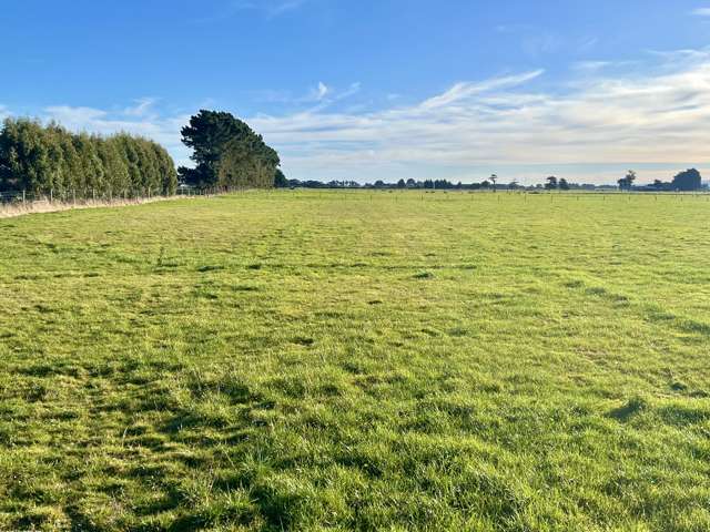 35 Wilson Road South Motu Rimu_2