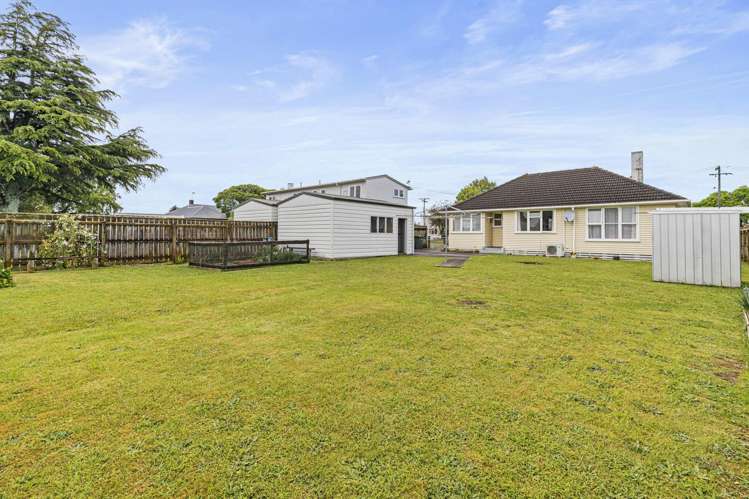 5 Ventura Grove Bulls_13