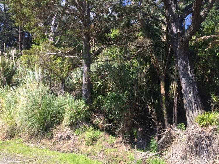 199 Creamery Road Kohukohu_5