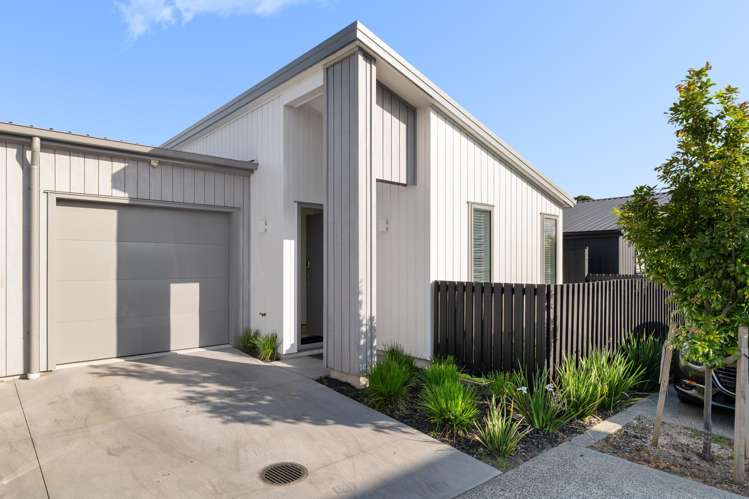 7 Potene Lane Te Puke_10