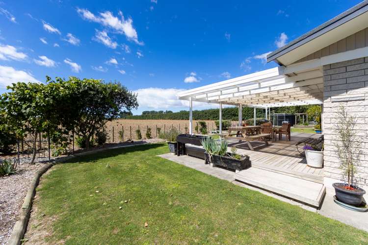 54 Jessep Road Meeanee_8