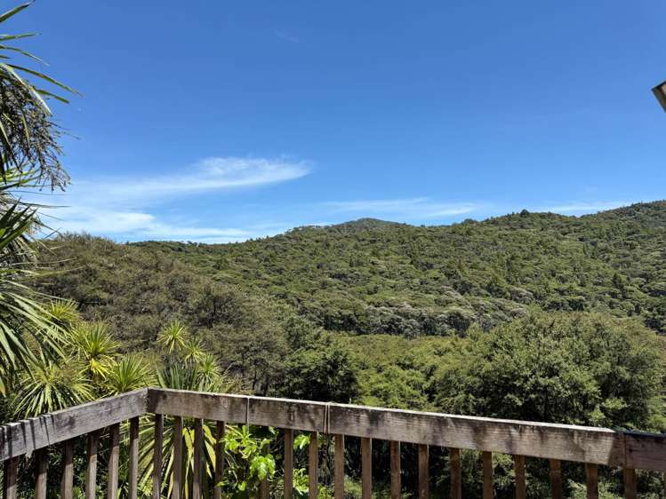 661 Whangaparapara Road Great Barrier Island_15