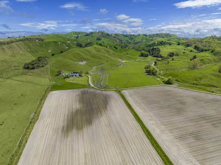 271 Awamate Road Wairoa Country_10