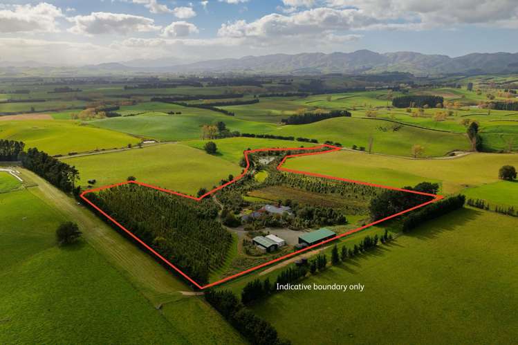 185 Sinclair Road Cheviot_33