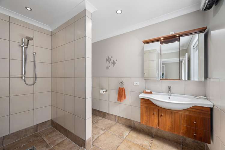 58 Dorset Street Picton_12