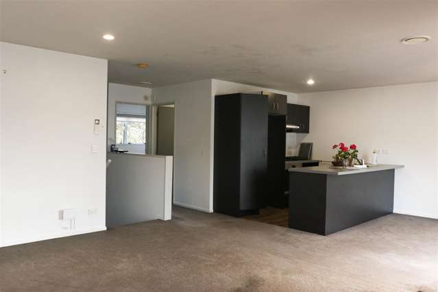 Spacious 1 Bedroom in Albany