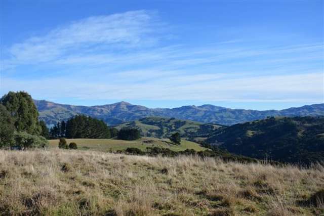 194 Grehan Valley Road Akaroa_1