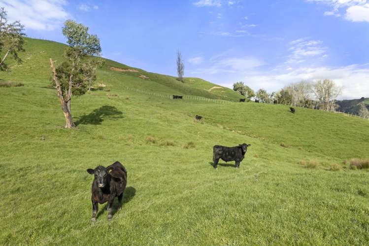 Mangatea Road Te Kuiti_11