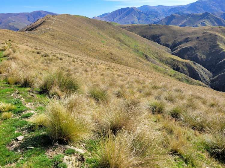 72 Wrights Road Waitaki_16