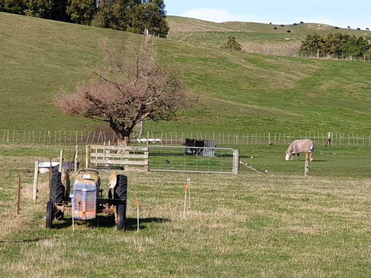 164 Mount Herbert Road Waipukurau and Surrounds_23