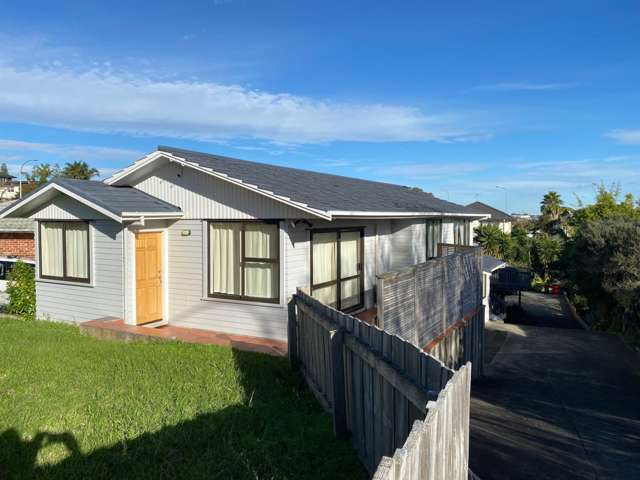 25 Ayr Road Pakuranga_1