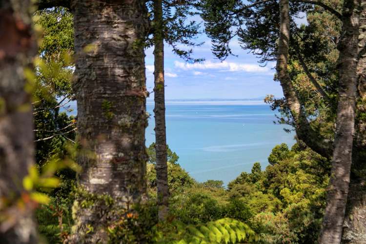 65 Takahe Road Titirangi_18