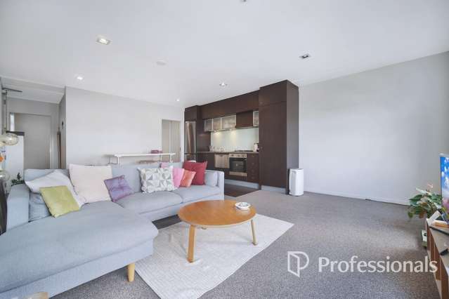 3d/221 Great North Road 10031_1