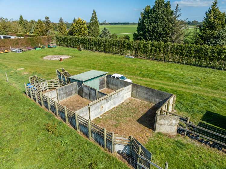 286 Mitcham Road Mitcham_29