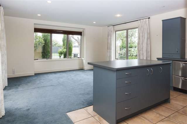 159 Hamilton Avenue Ilam_1