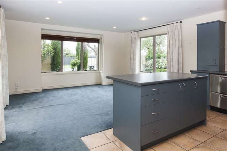 159 Hamilton Avenue Ilam_1