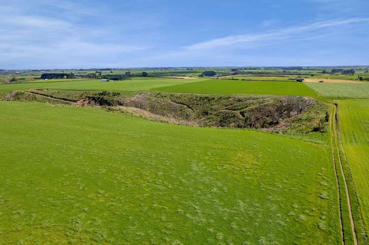 0n Mountain Road Normanby_10