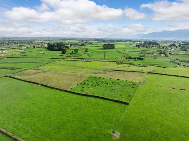 334 Okauia Springs Road Okauia_4