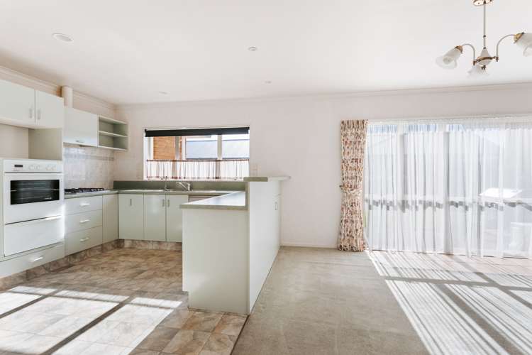 5 Links View Drive Omokoroa_4