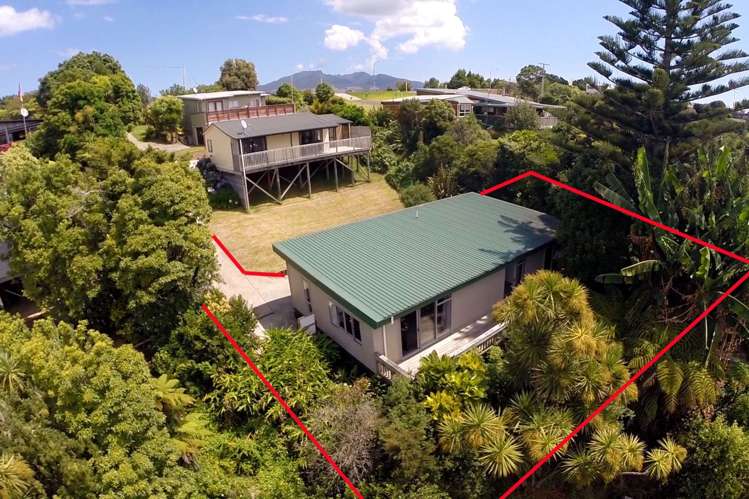 14b Main Road Raglan_0