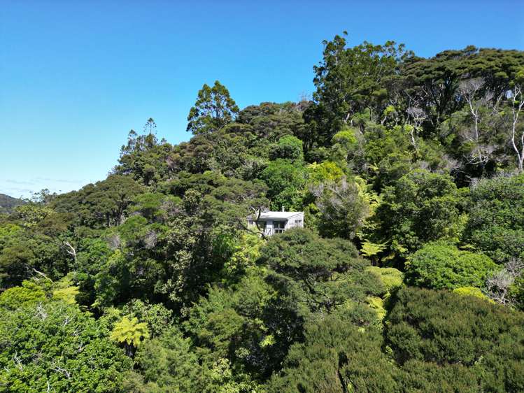 Lot 135/DP4961 North Cove Kawau Island_17