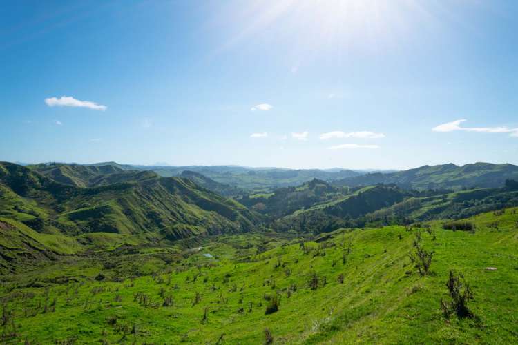 229 Rangikohua Road Tolaga Bay_22