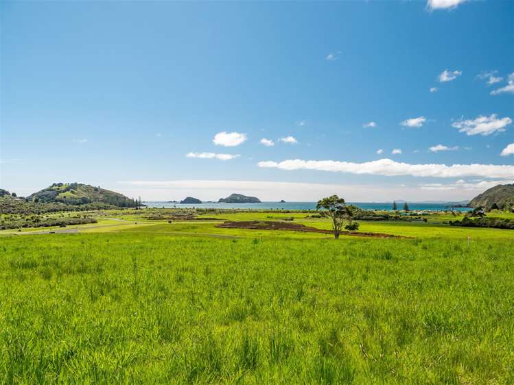 Matauri Bay Road Matauri Bay_15