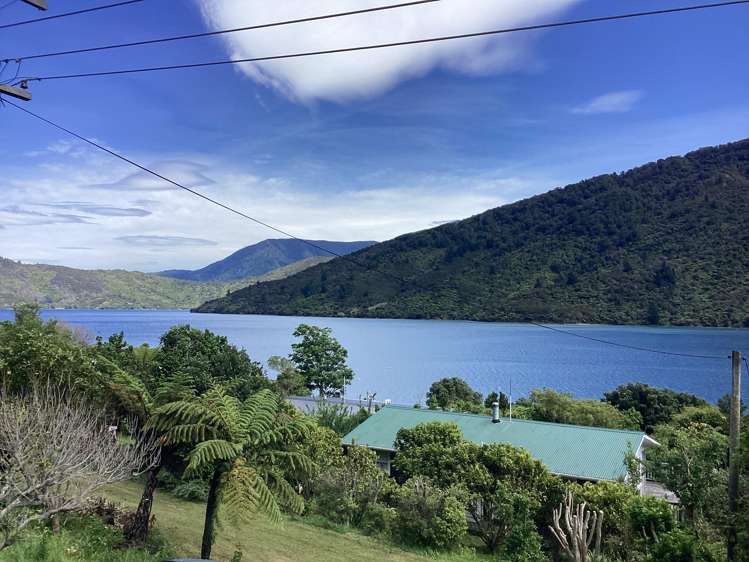 The Pines Endeavour Inlet_0