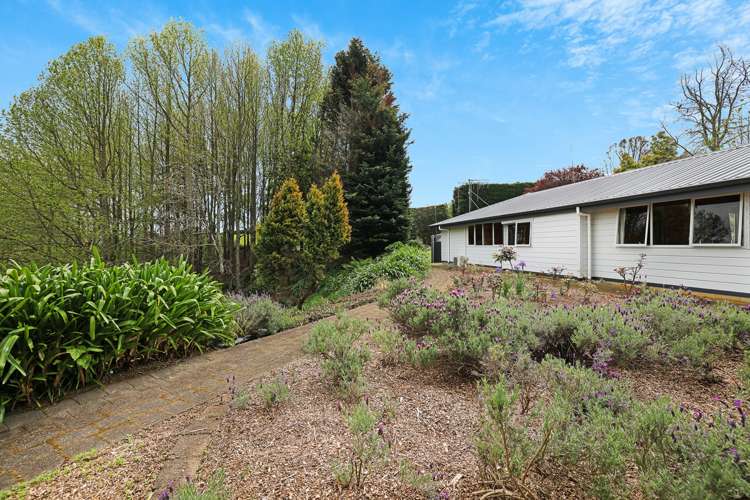 149 Frontier Road Te Awamutu_21