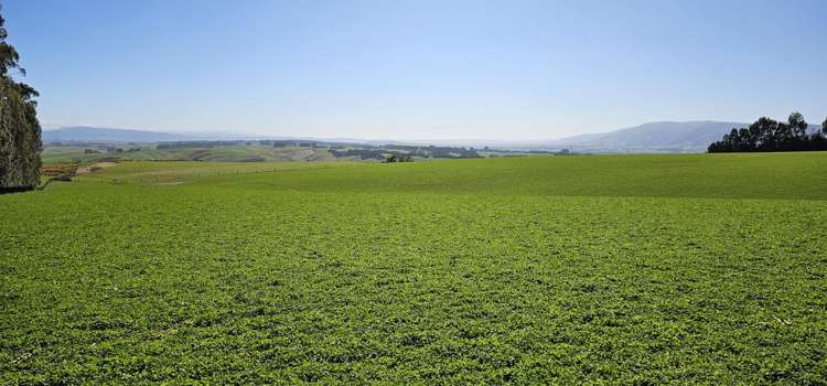 169 Charters Road Waikoikoi_21